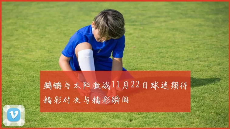 鹈鹕与太阳激战11月22日球迷期待精彩对决与精彩瞬间
