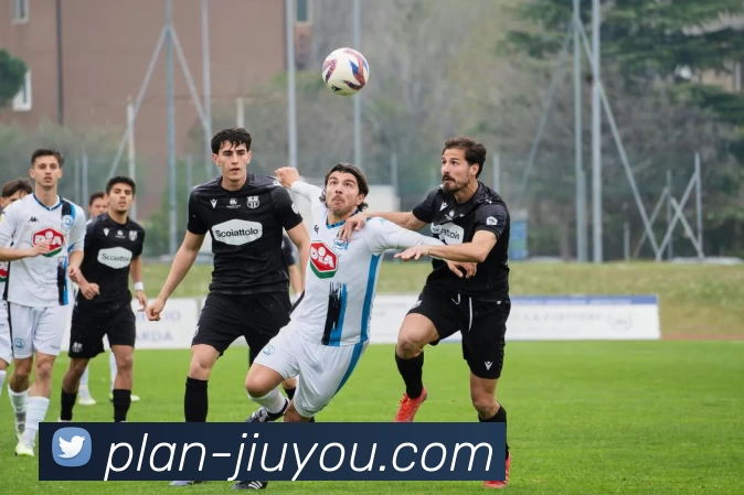 JIUYOU平台生态图